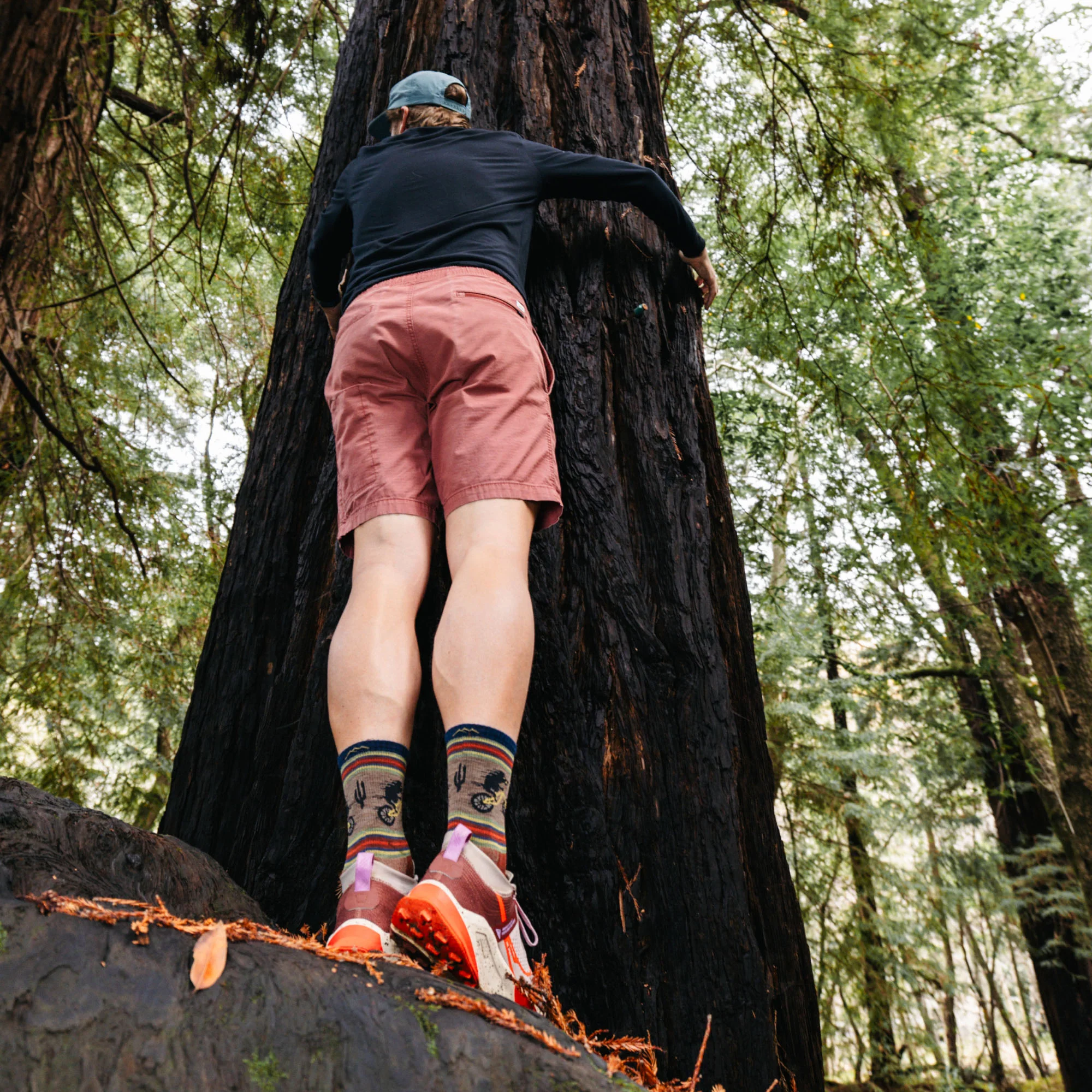 Men's Willoughby Micro Crew Lightweight Hiking Socks - Image 6