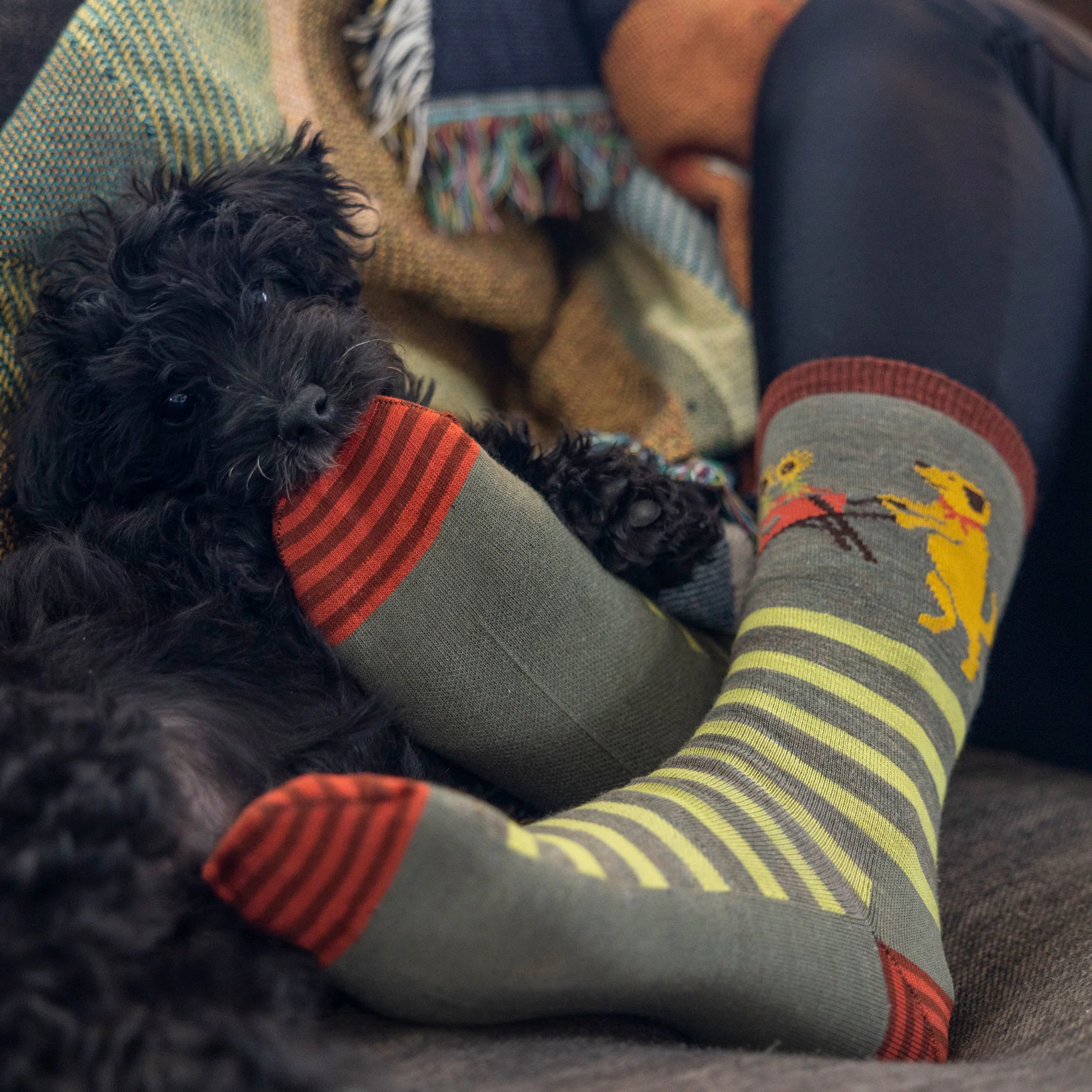 Women's Animal Haus Crew Lightweight Lifestyle Socks - Image 16
