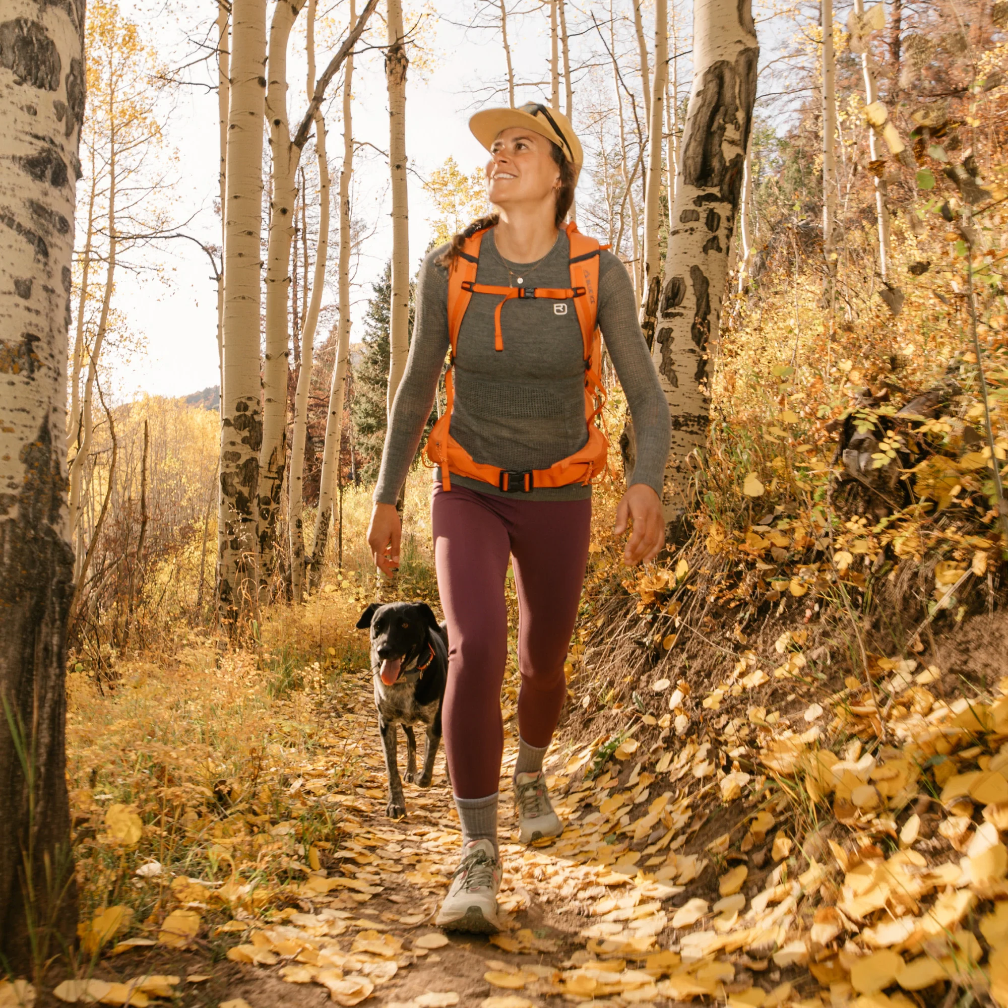 Women's Hiker Micro Crew Midweight Hiking Socks - Image 6