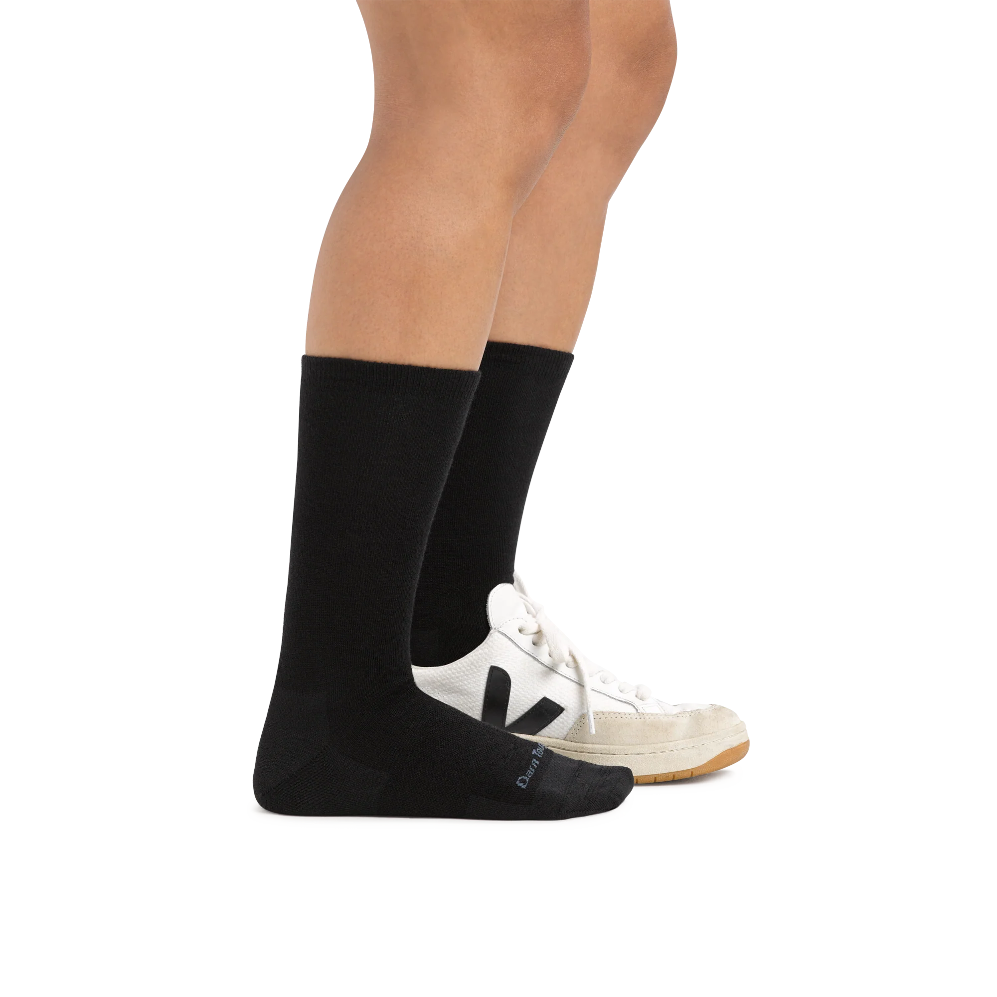 Women's Solid Basic Crew Lightweight Lifestyle Socks - Image 3