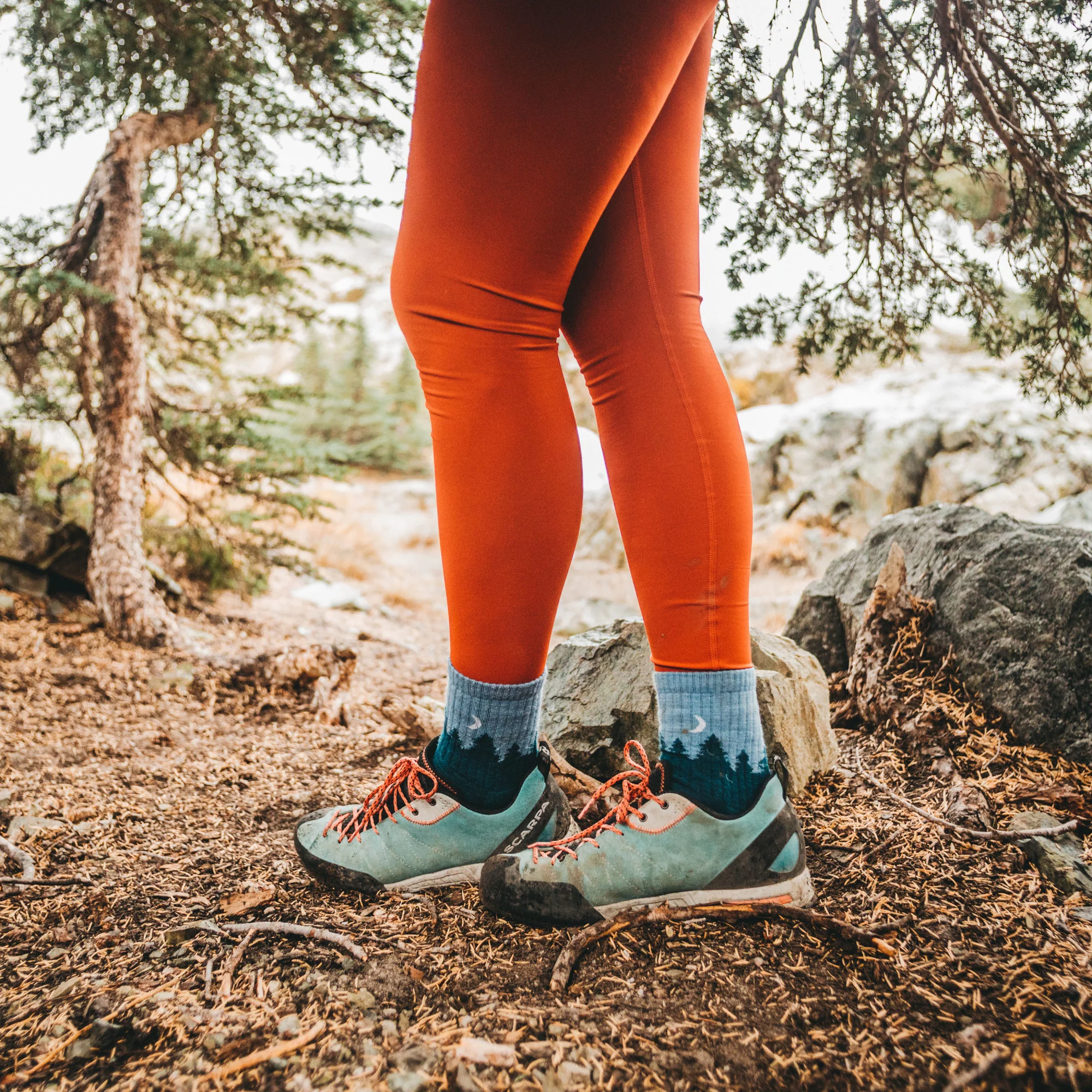 Women's Treeline Micro Crew Midweight Hiking Socks - Image 5